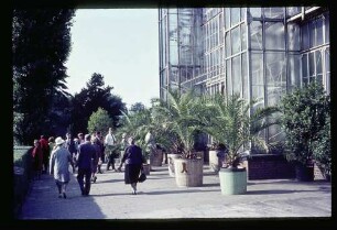 Botan. Garten 23.8.64.