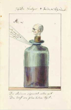 Hofr. Dr. Sulzer Bruder des Aesthetikers [Friedrich Gabriel Sulzer]