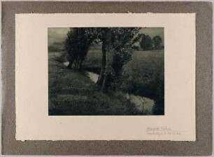 Landscape