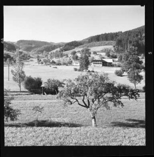 Sommer im Südschwarzwald