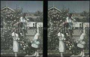 Drei Mädchen beim Rosenpflücken im Garten der Villa Gustavina