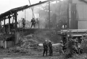 Großbrand im Wirtschaftsgebäude eines Schweinezuchtbetriebs in Palmbach