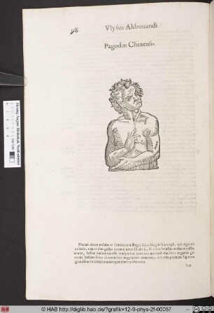 Pagodus Chinensis