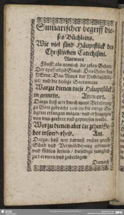 Sum[m]arischer begriff dieses Büchleins