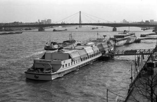 Köln-Deutz: als Hotel; Schiff Europa am Anlegeplatz, Heck