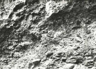 Dunkle Konglomerate aus dem Oberen Kulm. Aufschluß. Hainichen, Ottendorfer Straße