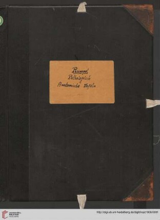 Pathologisch-anatomische Tafeln nach frischen Präparaten : mit erläuterndem anatomisch-klinischem Text ; aus den Hamburger Staatskrankenhäusern