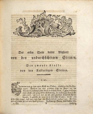 Vollständige Einleitung in die Kenntniß und Geschichte der Steine und Versteinerungen, 2
