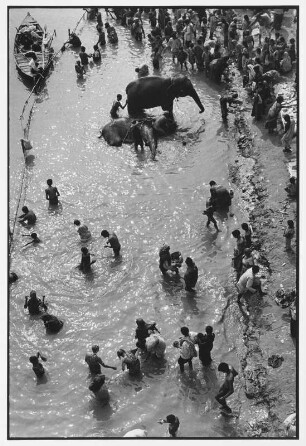 Sonepur. Menschen und Elefanten im Ganges