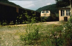 Hütten Zugkreuzung Lok 218 424 Ng