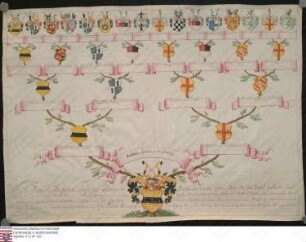 Ahnenprobe des Ignatius v. Rotberg. - ausgefertigt 1789 Oktober 19, Pergament