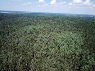 Hahnheide: Luftbild Richtung Süd-West, im Hintergrund Hamfelde