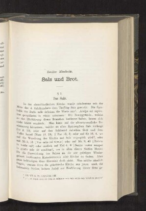 Zweiter Abschnitt. Salz und Brot.
