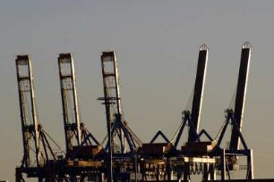 Container-Kräne bzw. Brücken auf dem Gelaende der HHLA (Hamburger Hafen und Logistik AG) in Hamburg-Waltershof. 11.2007