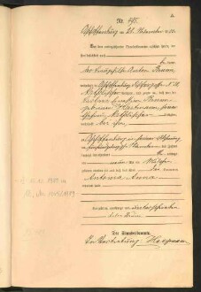 Standesamtsbuch der Stadt Aschaffenburg: Geburten 365/1900 - 184/1901