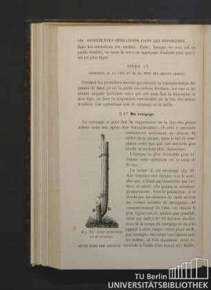 Titre IV. Formation de la tige et da la tête des jeunes arbres.
