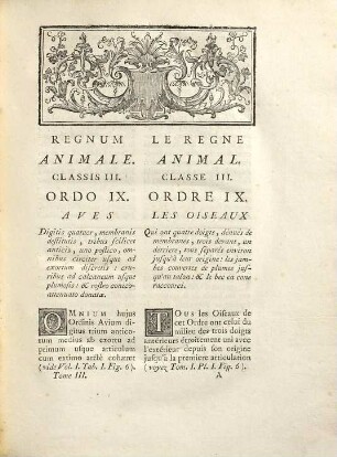 Ornithologie Ou Méthode Contenant La Division Des Oiseaux En Ordres, Sections, Genres, Especes & leurs Variétés : A Laquelle On A Joint Une Description exacte de chaque Espece, avec les Citations des Auteurs qui en ont traité ..., 3,[1]