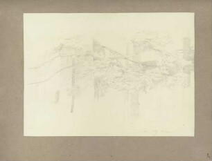 Klebebände, Band 3, Abteilung 1, Seite 65