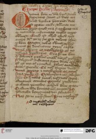 Ps.-Augustinus, Speculum peccatoris