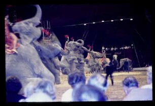 Zirkus Althoff 20.8.65.