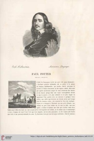 Paul Potter