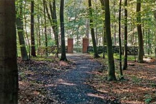 Jersbeker Forst: Grabanlage von Cossel: Außenansicht: Feldsteinmauer, Ziegelpfosten, Eisenpforte: davor Weg: Wald