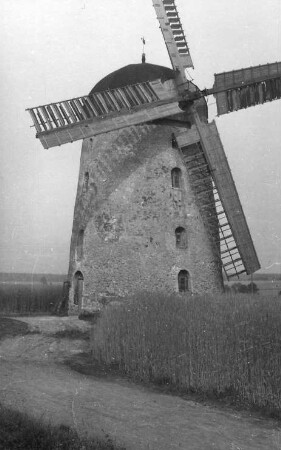 Falkenhain-Voigtshain. Turmholländer (Negativ Dr. Gleisberg, Grimma)