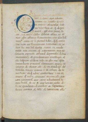 Initiale O, historisiert (blühender Distelzweig)