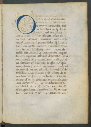 Initiale O, historisiert (blühender Distelzweig)
