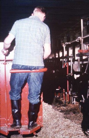 Fotografie: Rindermast, Futterverteilwagen