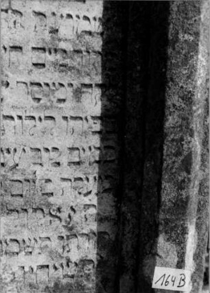 Grabstein 164 [Nir S. 122 Nr. 12.20]: Grabstein 164B [Nir S. 122 Nr. 12.20]