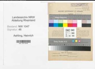 Entnazifizierung Heinrich Aehling , geb. 24.02.1891 (Landwirt)