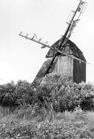 Niedere Börde-Meseberg. Bockmühle
