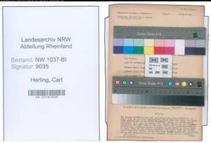 Entnazifizierung Carl Herling , geb. 10.04.1890 (Mechaniker)