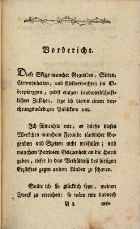 Topographisch-historische Beschreibung des Oberpinzgaus im Erzstifte Salzburg : Mit einer Kupfertafel versehen