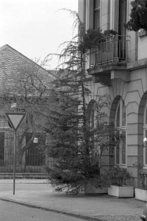 Kreative gärtnerische Gestaltung von Karlsruher Hinterhöfen