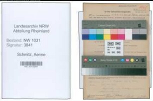 Entnazifizierung Aenne Schmitz , geb. 09.01.1900 (Rektor)