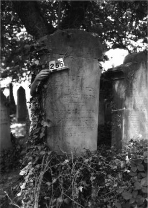 Grabstein 255 (Index: 100085153) Maße HxBxT: 202x60x38 cm Beschreibung: Stele, profiliert. Sockel, Aufsatz, Schrift eingetieft m. eingezog. Rundbogenabschl.: Grabstein 255