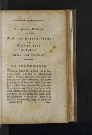 Neunzehnter Abschnitt.