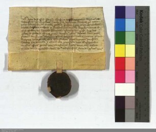 Wipert Lewe v. Steinfurt, Vier-Komthur zu Marburg präsentiert für den St. Stephans Altar zu Kappel an Stelle des verstorbenen Conrad Hanemann den ...