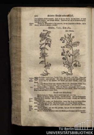 Cap. 364. Wicken, Vicia.