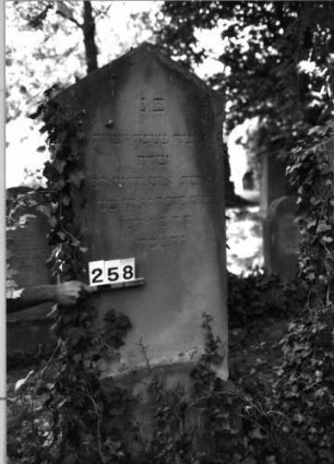 Grabstein 258 (Index: 100085147) Maße HxBxT: 190x60x25 cm Beschreibung: Stele, giebelart. Abschl. m. Verdach. , Schrift eingetieft: Grabstein 258