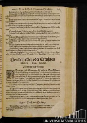 Cap. XXXI. Von dem edlen oder cretischen Dictam.