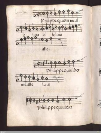 Ludovicus Loys : Philippe qui videt me
