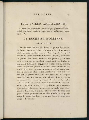 29-30, Rosa Gallica Aurelianensis. La Duchesse d'Orléans.