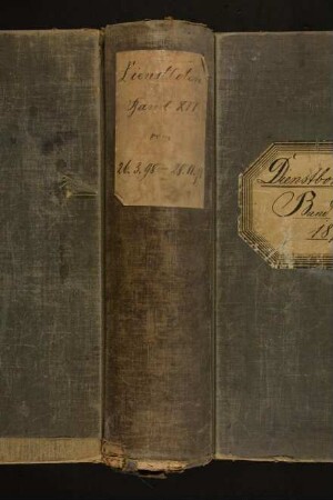 Dienstbotenbuch Band XVI