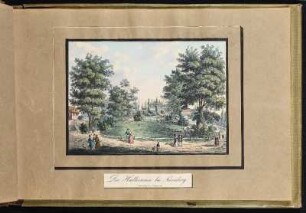 Die Hallerwiese bei Nürnberg. - Hallerwiese, Nürnberg