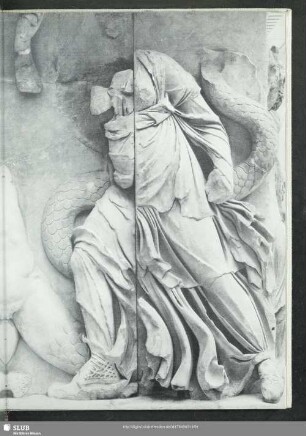31 La frise ouest: La façade de la salle nord, Amphitrite