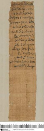 Demotischer Papyrus, Hochformat-Brief, Meinungsverschiedenheiten wegen einer Zahlung