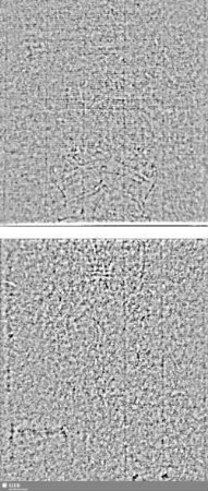 Lilienschild + IESV / LW = S.15/16+17/18